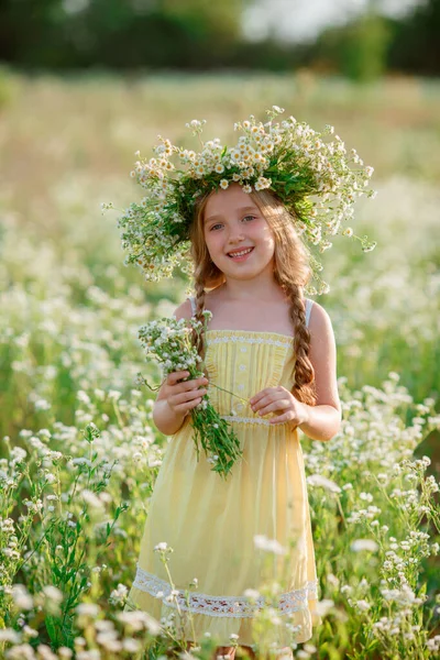 Piękna Dziewczyna Pozowanie Polu Noszenie Kwiat Wieniec — Zdjęcie stockowe