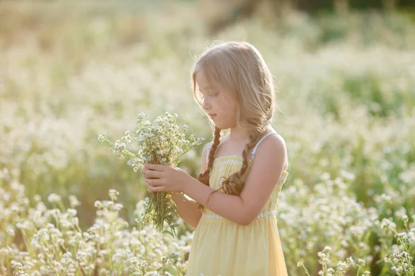可愛い女の子が畑に花を集めてる — ストック写真