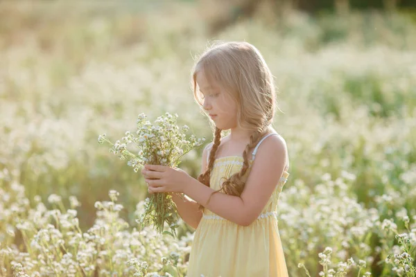 Bonito Menina Recolhendo Flores Campo — Fotografia de Stock