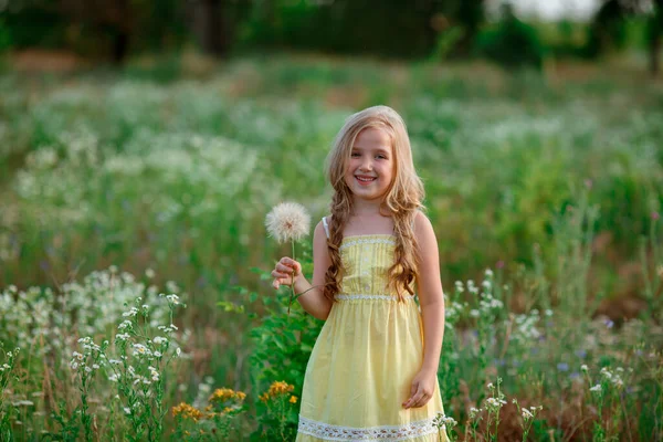 Cute Little Girl Dandelion Field — Stock Photo, Image