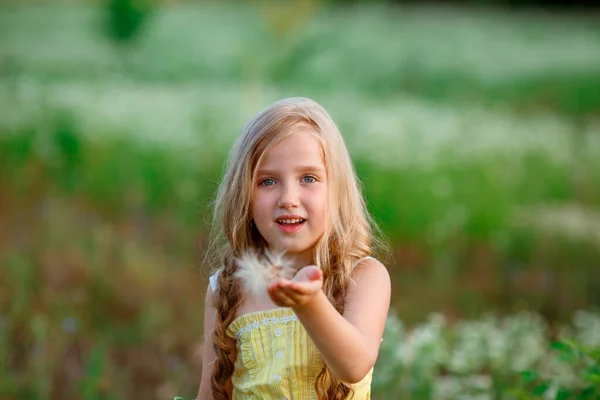 Menina Bonito Com Dente Leão Campo — Fotografia de Stock