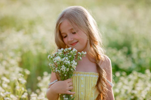 Cute Little Girl Zbieranie Kwiatów Polu — Zdjęcie stockowe