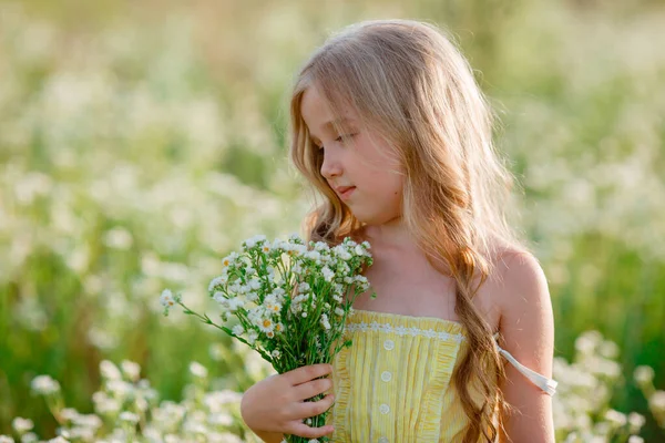 Carina Bambina Raccogliendo Fiori Sul Campo — Foto Stock
