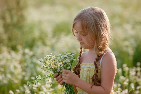 Cute Little Girl Zbieranie Kwiatów Polu — Zdjęcie stockowe