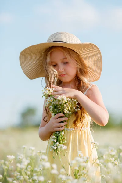 Schönes Mädchen Mit Strohhut Posiert Auf Feld — Stockfoto