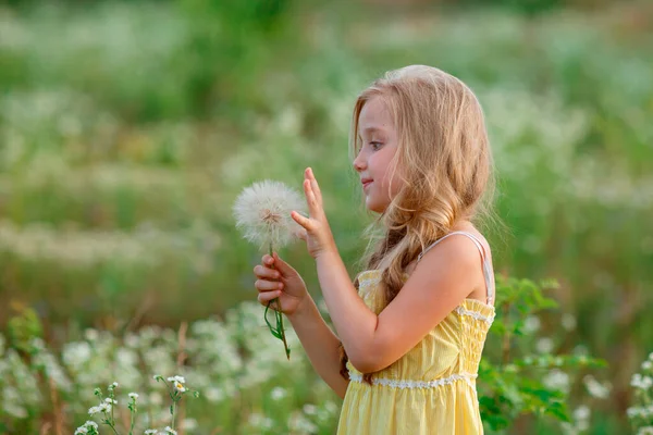 Menina Bonito Com Dente Leão Campo — Fotografia de Stock