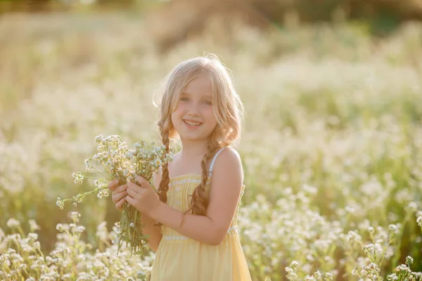 Bonito Menina Recolhendo Flores Campo — Fotografia de Stock