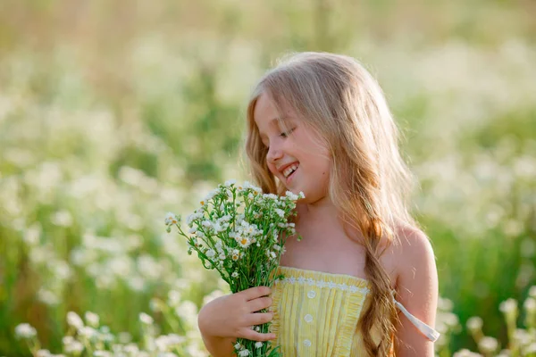 Cute Little Girl Zbieranie Kwiatów Polu — Zdjęcie stockowe