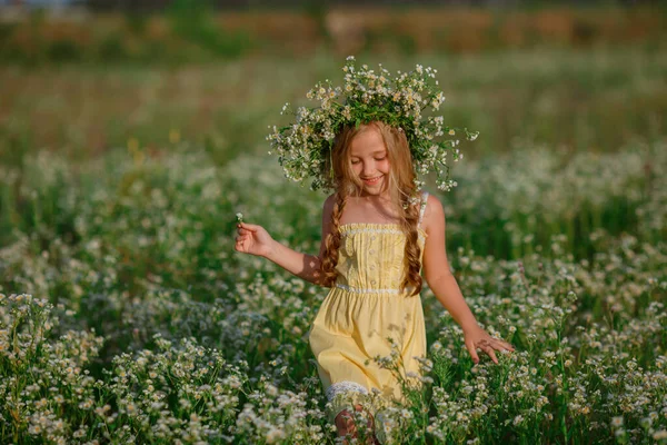 Hermosa Chica Posando Campo Con Corona Flores — Foto de Stock