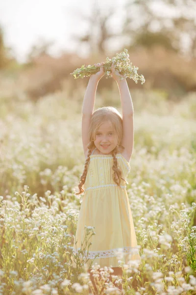 Bonito Menina Recolhendo Flores Campo — Fotografia de Stock