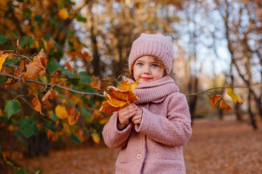 Sonbahar parkında poz veren mavi gözlü küçük bir kız.