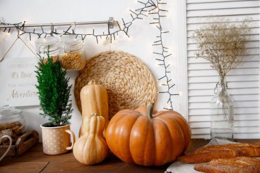 Balkabakları ve sebzelerle dolu bir sonbahar.