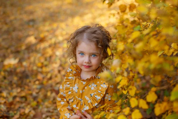 Schönes Kleines Mädchen Orangefarbenem Kleid Posiert Herbst Park — Stockfoto