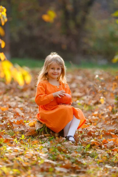 Menina Sentada Parque Outono Segurando Uma Abóbora Para Halloween — Fotografia de Stock