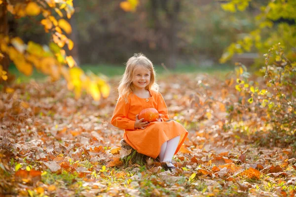 Menina Sentada Parque Outono Segurando Uma Abóbora Para Halloween — Fotografia de Stock