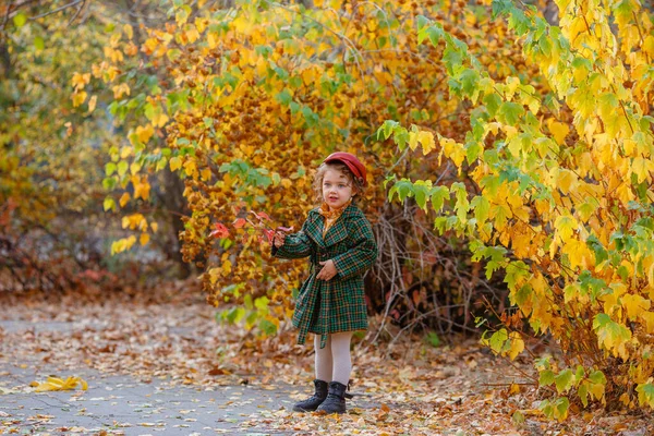 Modna Dziewczynka Pozowanie Jesiennym Parku — Zdjęcie stockowe