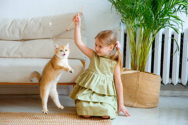 Malá Blondýnka Dívka Hrát Kočkou Doma — Stock fotografie