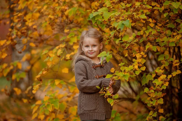 Cheerful Child Posing Autumn Park — Stock Photo, Image