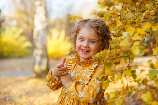 Linda Menina Vestindo Vestido Laranja Posando Parque Outono — Fotografia de Stock