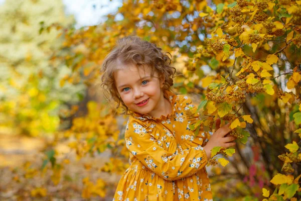 Krásná Holčička Sobě Oranžové Šaty Pózovat Podzimním Parku — Stock fotografie