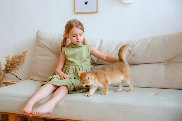 Menina Loira Brincando Com Gato Casa — Fotografia de Stock