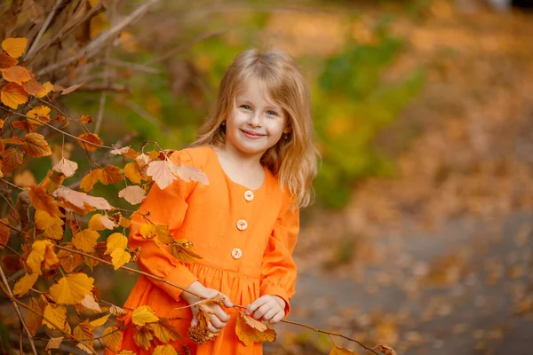Adorable Dziewczyna Pozowanie Pomarańczowy Strój Jesiennym Parku — Zdjęcie stockowe