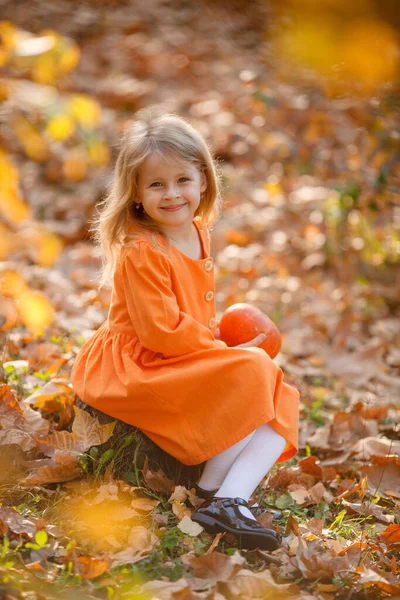 Menina Sentada Parque Outono Segurando Uma Abóbora Para Halloween — Fotografia de Stock
