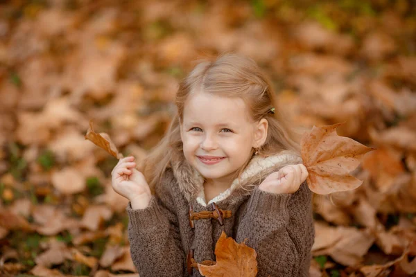 Cheerful Child Posing Autumn Park —  Fotos de Stock