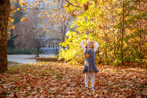 Liten Flicka Hösten Parken Fångar Fallande Löv — Stockfoto