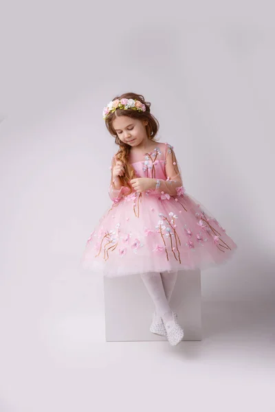 Uma Menina Vestindo Vestido Rosa Coroa Flores Posando Estúdio — Fotografia de Stock