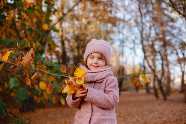 Маленькая Девочка Голубыми Глазами Позирует Осеннем Парке — стоковое фото