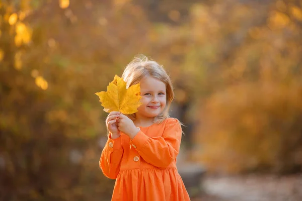 Petite Fille Automne Dans Parc Tient Bouquet Feuilles Automne — Photo