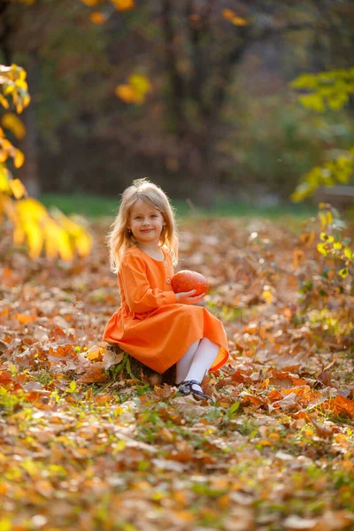 Menina Sentada Parque Outono Segurando Uma Abóbora Para Halloween — Fotografia de Stock