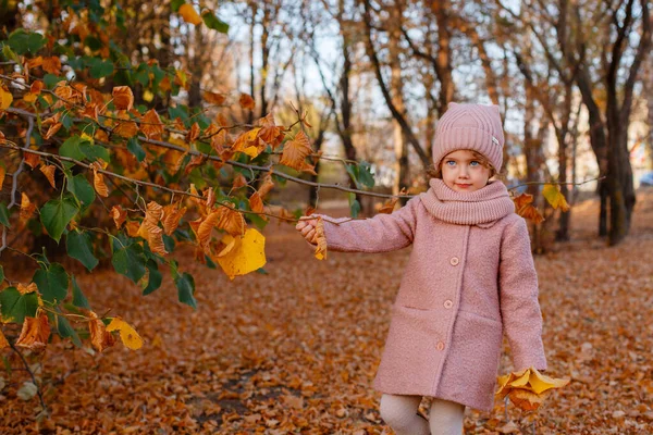 Mała Dziewczynka Niebieskimi Oczami Pozuje Jesiennym Parku — Zdjęcie stockowe