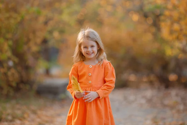 Niña Otoño Parque Tiene Ramo Hojas Otoño — Foto de Stock