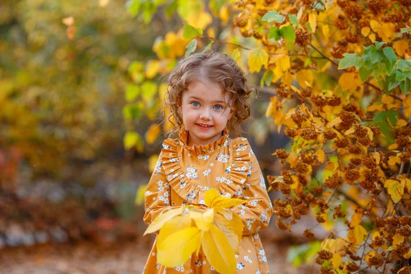 Linda Menina Vestindo Vestido Laranja Posando Parque Outono — Fotografia de Stock