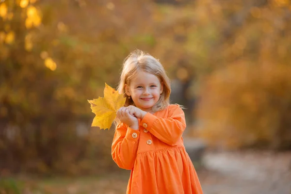 Petite Fille Automne Dans Parc Tient Bouquet Feuilles Automne — Photo