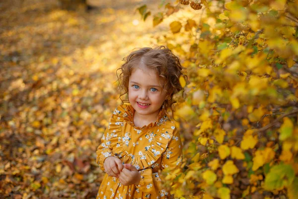 Schönes Kleines Mädchen Orangefarbenem Kleid Posiert Herbst Park — Stockfoto