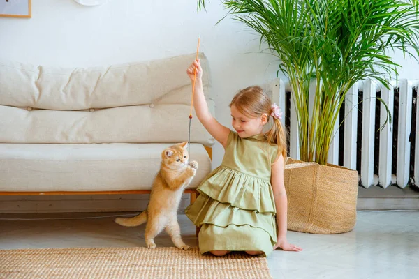 Pequeña Rubia Jugando Con Gato Casa —  Fotos de Stock