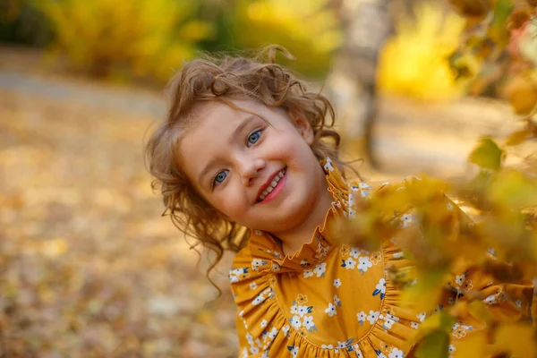 Красивая Маленькая Девочка Оранжевом Платье Позирует Осеннем Парке — стоковое фото