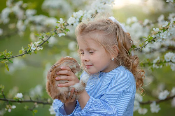 Een Klein Meisje Houdt Een Konijn Haar Handen Een Lente — Stockfoto