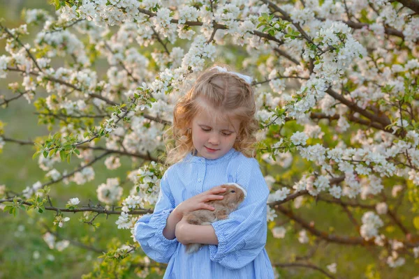 Egy Kislány Egy Nyulat Tart Kezében Egy Tavaszi Virágzó Fát — Stock Fotó