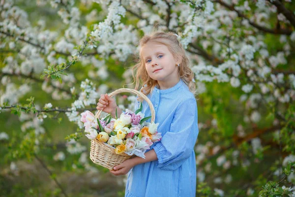 Meisje Met Een Mand Bloemen Buurt Van Een Bloeiende Boom — Stockfoto