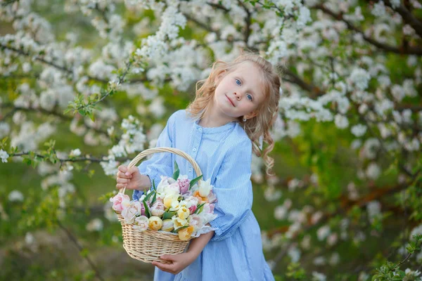 Lány Kezében Egy Kosár Virág Mellett Egy Virágzó — Stock Fotó