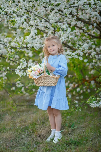 Menina Segurando Uma Cesta Flores Perto Uma Árvore Floração — Fotografia de Stock
