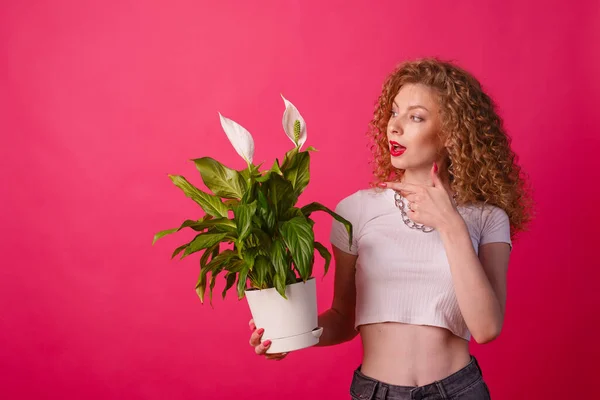 curly girl holding a pot with a flower on a pink background