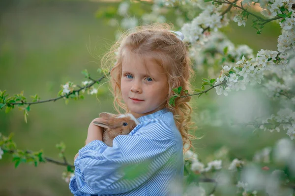 Uma Menina Segura Coelho Suas Mãos Uma Árvore Florescendo Primavera — Fotografia de Stock
