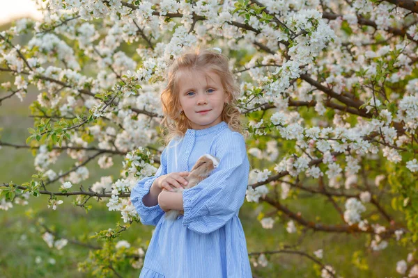 Una Niña Sostiene Conejo Sus Manos Árbol Floreciente Primavera — Foto de Stock