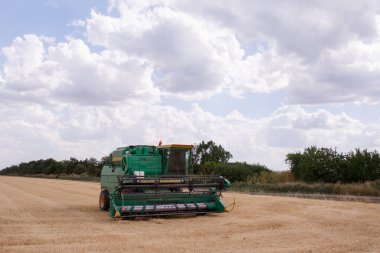 Buğday hasatçısı tahıl topluyor. Tema tarım. Çağdaş bir biçerdöver, güneşli bir günde mavi gökyüzüne karşı tahıl biçer. Machi kullanarak çiftlik ve otomasyon.