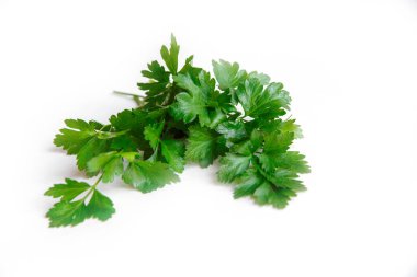 Beyaz arka planda izole edilmiş taze maydanoz